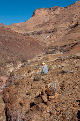 A view toward upper Basalt Canyon