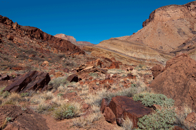 Basalt Canyon boulder field