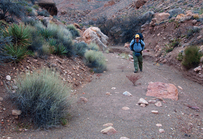 Hiking through the no-name creek bed that leads to the Still Spring site in Lava Canyon