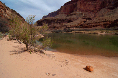 This sandy beach and calm bay are located just upstream of Lava Canyon Rapids