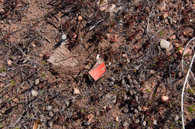 More pot sherds in Lava Canyon