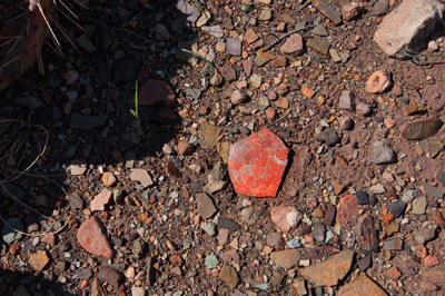 A pot sherd at a Lava Canyon ruin site