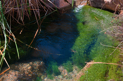 Resplendent Lava Creek water