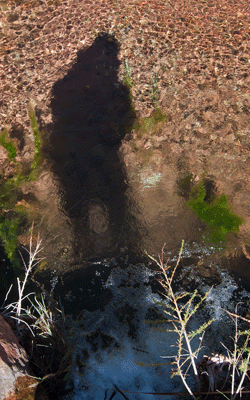 Reflection of a backpacker