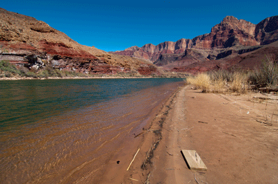 Looking upstream along the sandy shore of the Colorado River toward Palisades of the Desert