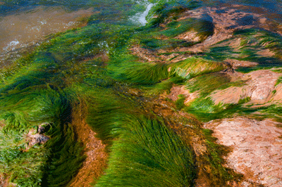 Shallows of the Colorado River in Grand Canyon