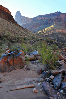 The early morning light catches Arrowhead Terrace in Grand Canyon