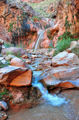 Falls in upper Stone Creek