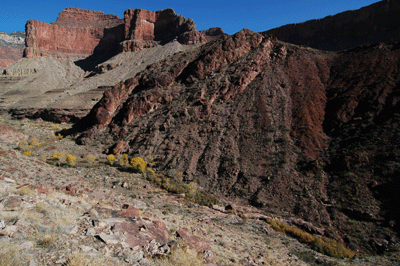 A view into Phantom Creek Canyon