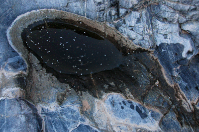 Skank II water pocket in Trinity Creek Canyon