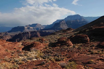 Looking across the Colorado toward the South Kaibab Trail and Pattie Butte