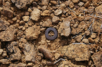 Washer found at 1919 survey upper Tonto campsite