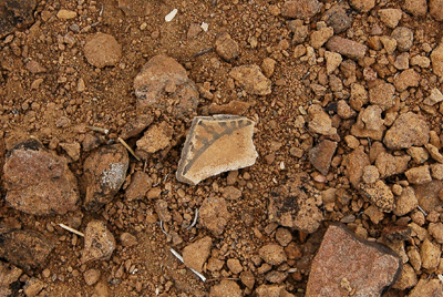 Pottery sherd found at 1919 survey upper Tonto campsite