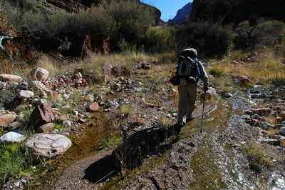 Hiking down Clear Creek toward the junction with the east arm